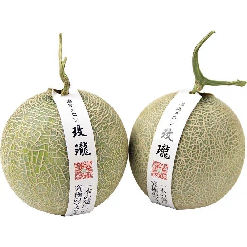 探索龙玫艺坊的魔力:走进“龙玫小镇”的艺术世界